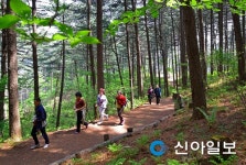 경기도, 17~18일 잣향기 푸른숲 힐링축제