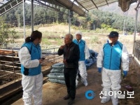 포천 가축 이동동물병원 맞춤형 컨설팅