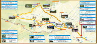 한양대·석촌호수·성북로 일대, 걷기 좋은 길로 탈바꿈