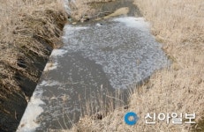 철원 문혜리 개천에 축산폐수 유입… 방재작업 중