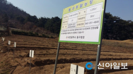 대전 동구, 도심 속 주말농장 개장