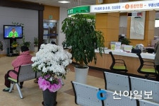 강화군청 민원실에 꽃이 피다