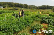 인천 서구 2016 실버농장 개장
