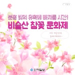 [카드뉴스] 분홍 빛 유혹… 비슬산 참꽃 문화제