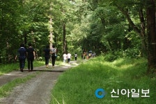 남양주, 28~29일 제11회 광릉 숲 축제