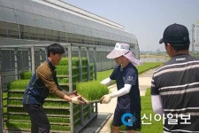 부안농협, 어린모 직접 키워 농업인들에 공급
