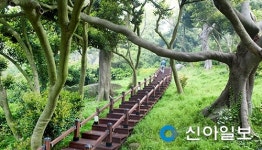 올 휴가는 보령 삽시도·외연도로 GO