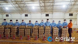 홍천군청 축산과, 축산농가 일손돕기 추진