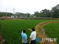 서산, 여름철 농업재해 대비 나선다