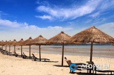 신안 해수욕장 10곳 개장 준비 완료