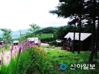 힐링 일번지 지리산 숲속수목가옥 아시나요?