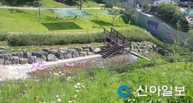 파주, 율곡수목원 발물놀이터 무료 개방