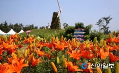 꽃과 바다를 배경으로… 충남 태안은 지금 축제의 향연