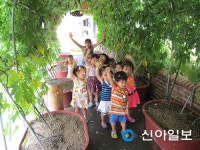 수원 영통구, 청사내 조성 작은 텃밭 인기