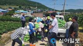 진도 의신면, 사회복지시설 등에 옥수수 전달
