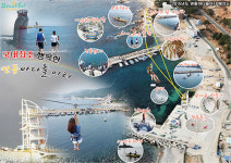 경주, 연동어촌체험마을 성게 대축제 5~7일 개최