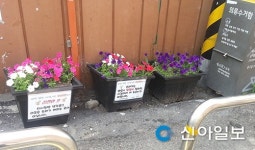 성북구 정릉1동 양심화분 설치