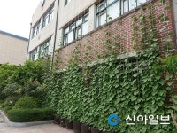 노원구 녹색 커튼 환경지킴이 역할 톡톡