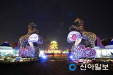 익산, 중앙체육공원서 천만송이 국화축제