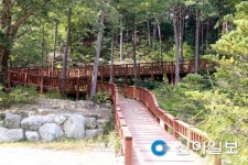 산림청, 가을 여행주간 산음자연휴양림 무료 개방