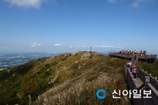 은빛 물결 따라 오감만족 추억 만들기