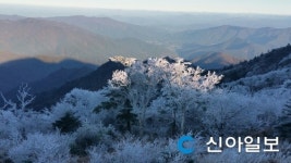 지리산 장터목대피소에 상고대 피어