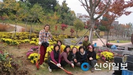 익산 영등1동주민센터, 소라산 자연마당에 국화꽃길 조성