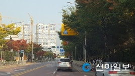 하남, 30일까지 미사대로 등 가로수 정비