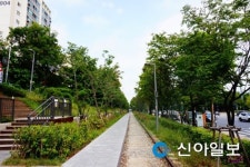 숲길로 재탄생한 경춘선 폐선부지