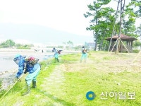 진해구, 녹지 조경지 정비