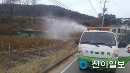 옹진, AI 긴급대책 영상회의