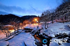 백아산 자연휴양림서 힐링하세요