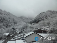 지리산자연휴양림 겨울철 설경 명소 선정