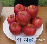 영천사과, 우수 품질 신품종 보급