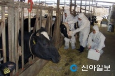 진주시, 구제역·AI 유입 차단 총력 대응