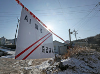 전북 고창 오리 농장서 H5형 AI 바이러스 검출