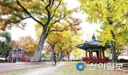 400여년 전통 서산 양유정 공원 리모델링