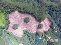 친환경 벌채 배우러 홍천 왔어요