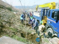 창원 진해구 웅동1동 벚꽃나무 40그루 식재