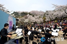 안산 자락 벚꽃길과 아름다운 선율의 만남