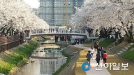문경 모전천 생태하천 복원 착착