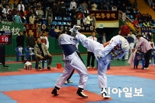 구례, 전국태권도대회 성료
