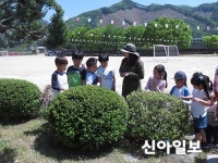 홍천국유림관리소, 삼포초등학교에 찾아가는 숲체험 진행