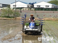양주시, 상수리·은현면서 첫 모내기 실시