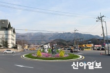 세계인의 눈길잡을 올림픽 상징 …평창, 가로수길 조성