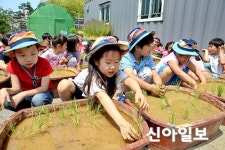 [포토] 오늘 하루 농부 됐어요