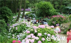 부산관광공사, 6월 추천 관광지로 봉래산·태종대 선정
