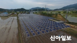 한국남동발전, 국내 최초 영농형 태양광 발전 선보여