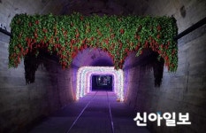 문경의 새로운 명물 오미자 테마터널 탄생