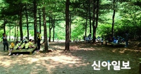 동두천, 소요산 산림욕장 숲 가꾸기 전개